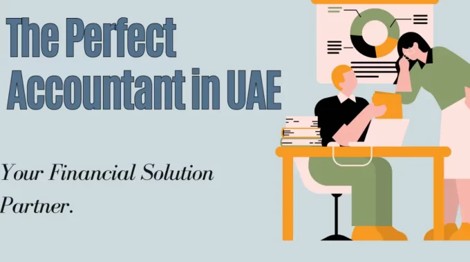 Perfect Accountant In UAE